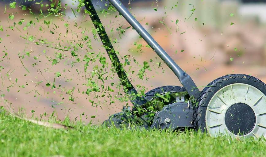 Lawn Mowing